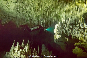 stalactites hang from the ceiling of a tropical cave by Antonio Venturelli 